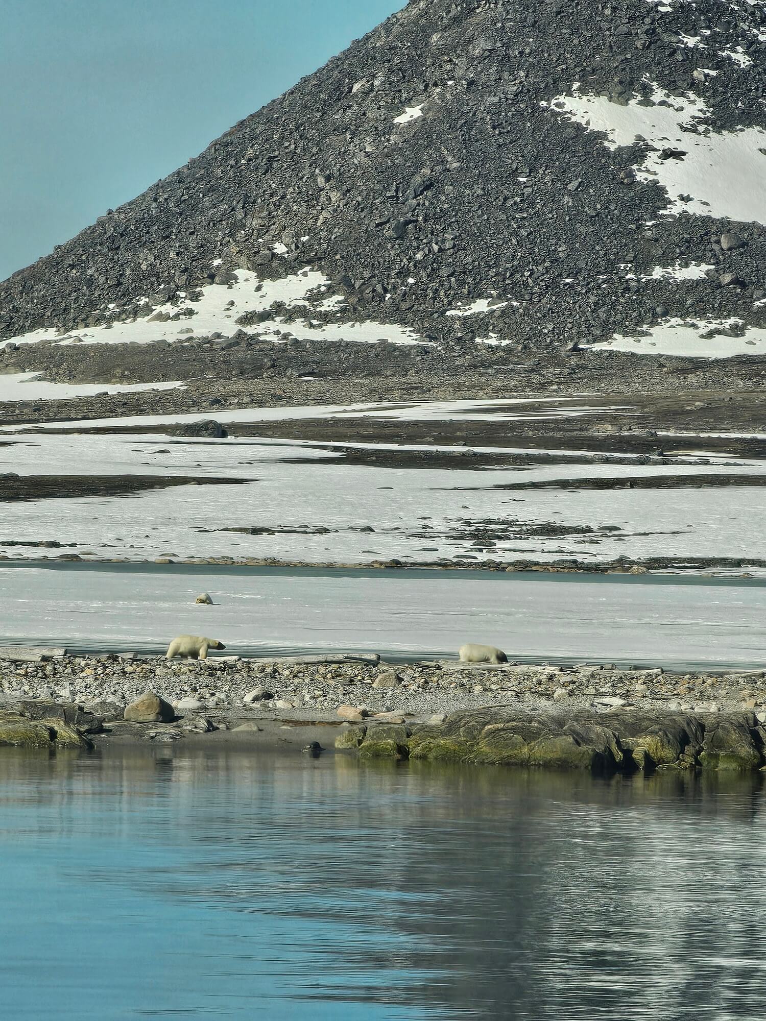 Two polar bears on the coast near Smeerenburg, Spitsbergen