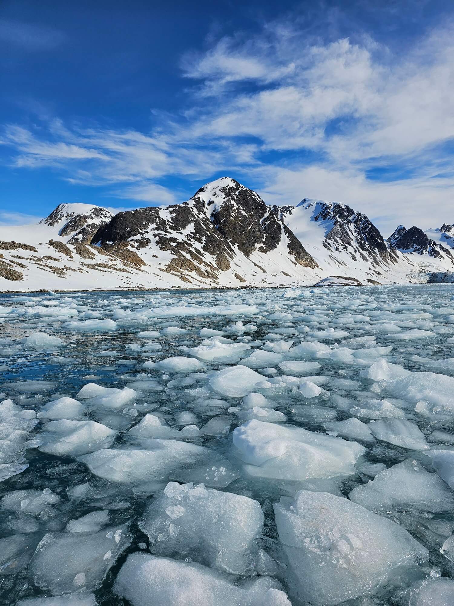 Drift ice in Fuglefjord