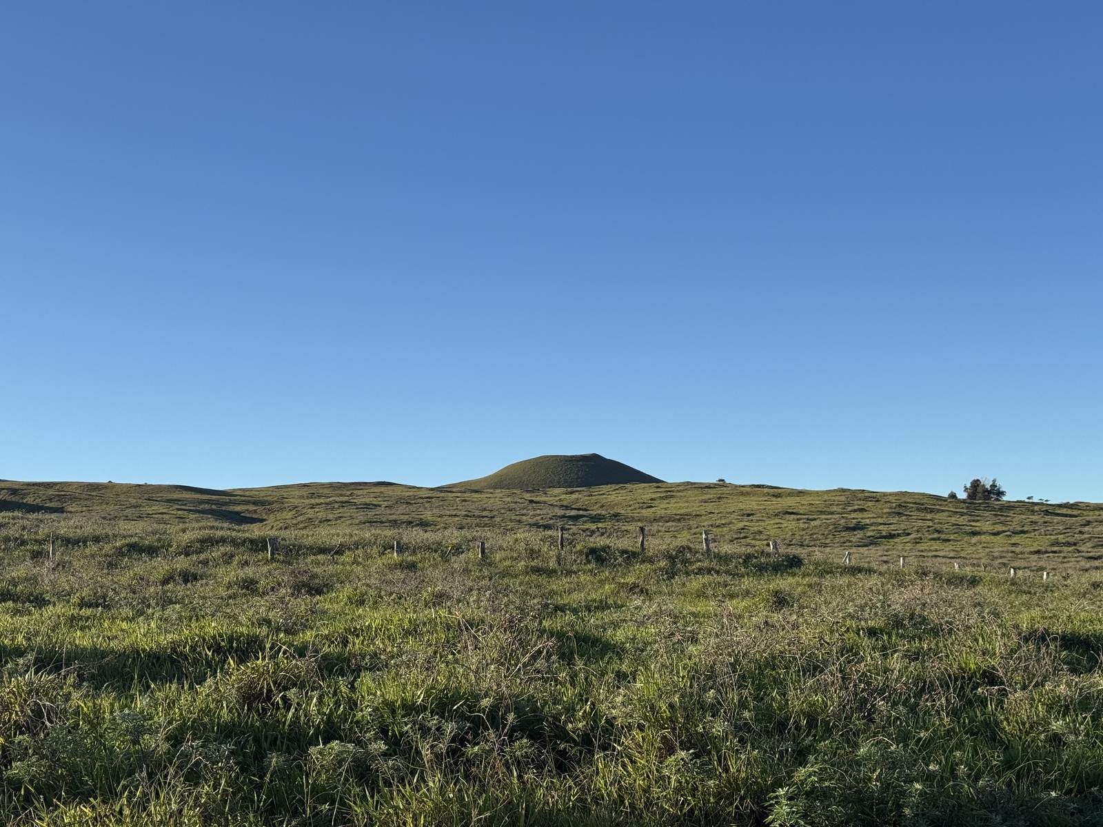 Green Expanses in the Interior of Easter Island