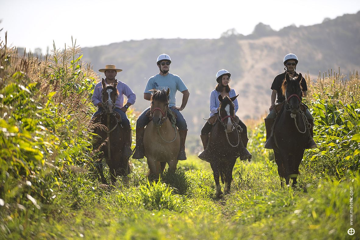 A group of horsemen with Huaso against the backdrop of the hills of the Rosario Valley