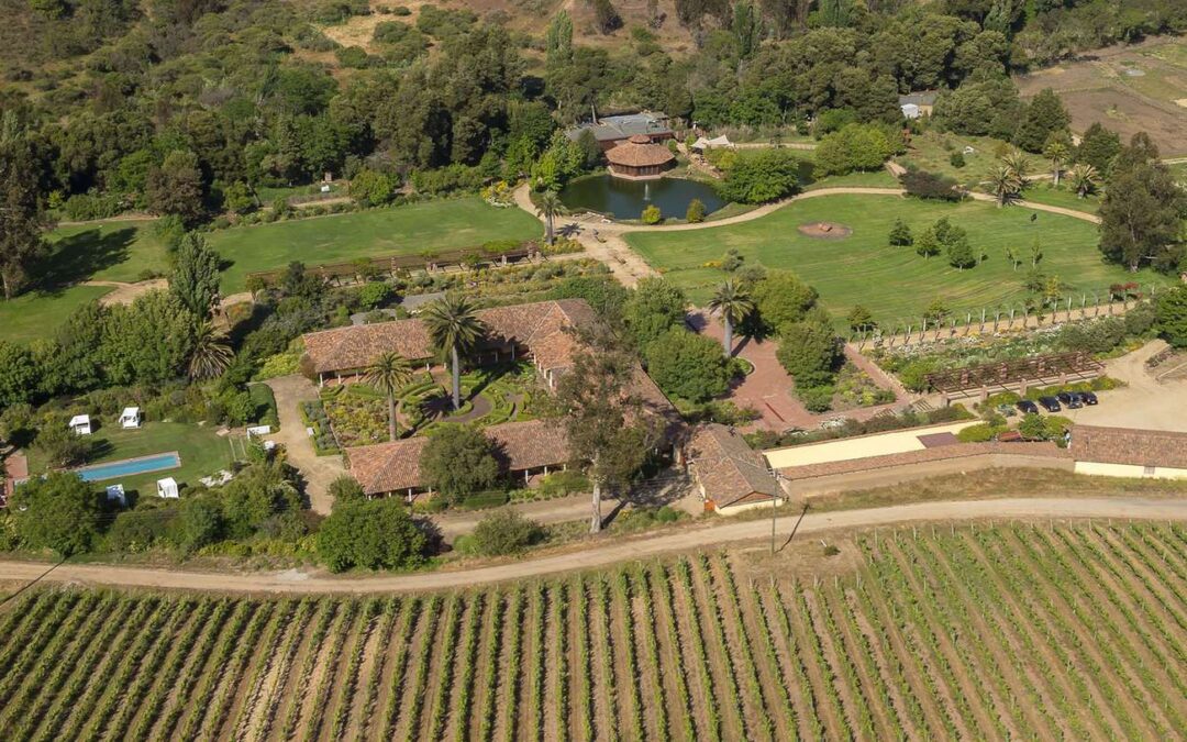 Osterinsel exklusiv, Ausklang im historischen Öko-Weingut