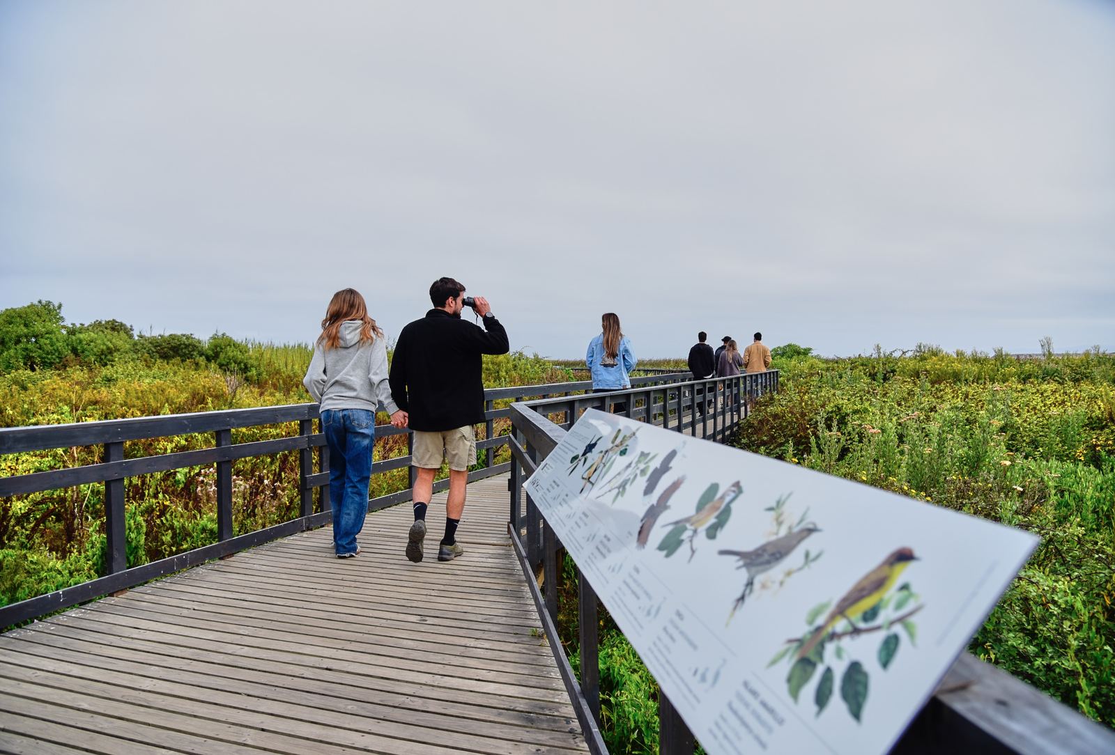 Wooden boardwalk with a bird sign in the Río Maipo wetland