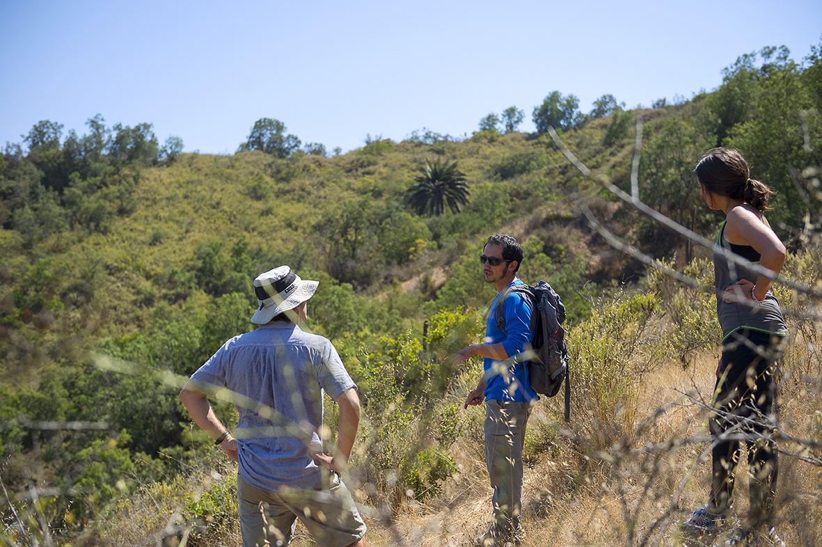 Hikers among the vegetation of the Rosario Valley