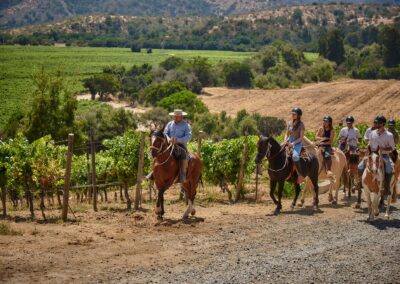 A group of horsemen with Huaso among the vineyards of the Rosario Valley