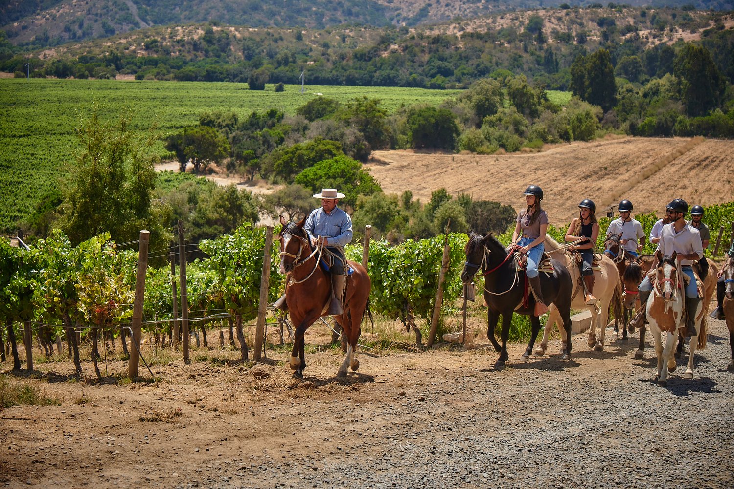 Reiten Rosario-Tal A group of horsemen with Huaso among the vineyards