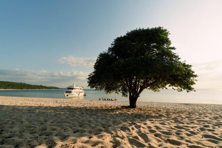 Die Belle Amazon ankert im Abendlicht vor einem Sandstrand mit einzelnem Baum