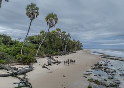 Luftbild einer kleinen Wandergruppe am langen Sandstrand zwischen Regenwald und Atlantik