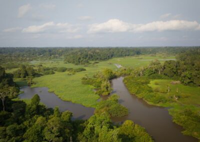 Aerial view of a vast marsh and river landscape with branching waterways, grassy areas, and patches of forest