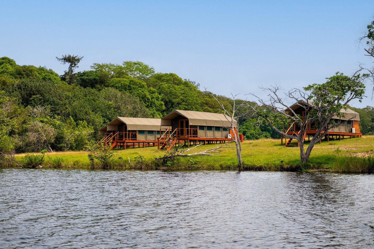 Several safari tents on wooden decks along the grassy shore of the Iguela Lagoon, with coastal forest in the background, Loango National Park