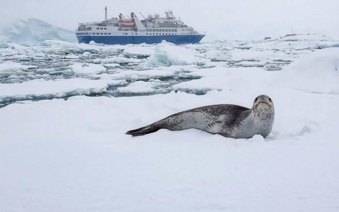 MS Discoverer | Expedition Ship for 140 Passengers