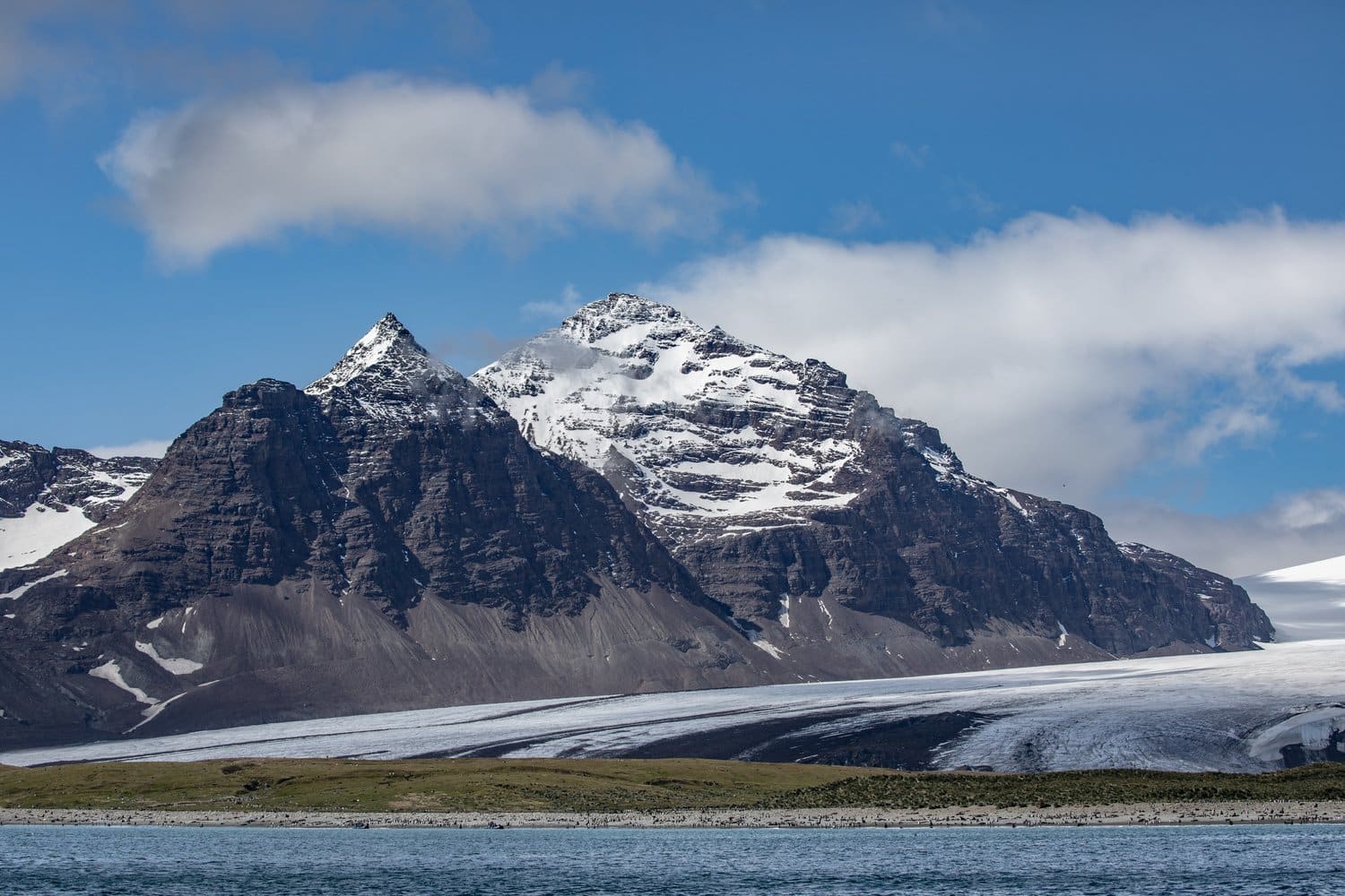 Schneebedeckte Gipfel und eine Gletscherzunge über der Küste von Südgeorgien Snow-capped peaks and a glacier tongue overlooking the coast of South Georgia