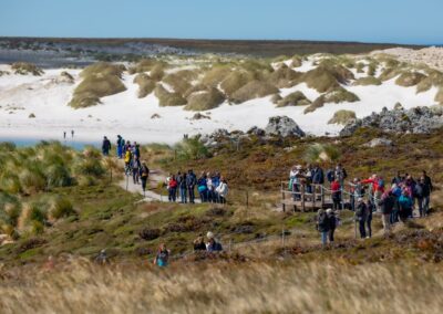 Passagiere auf einem Küstenweg zwischen Tussockgras und Dünen bei Stanley auf den Falklandinseln