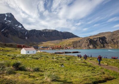 Passagiere gehen über die Wiese vor der ehemaligen Walfangstation Grytviken in Südgeorgien