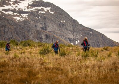 Passengers hike through tall tussock grass in front of the Godthul Mountains in South Georgia